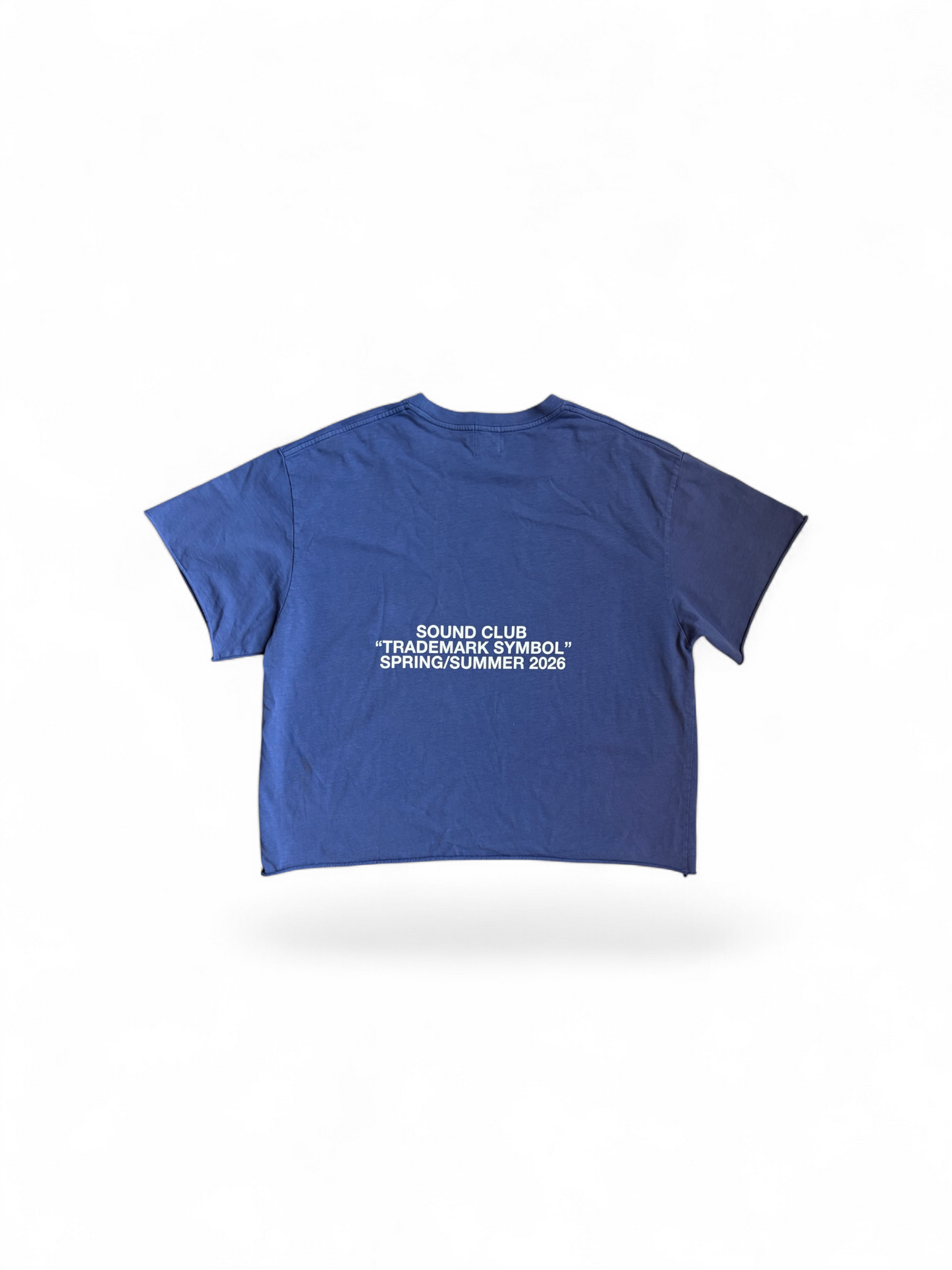 Blue "Festy" Tee (CROP!!)